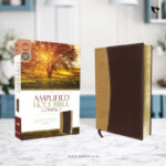 Amplified Holy Bible, Compact, Leathersoft, Tan/Burgundy: Captures the Full Meaning Behind the Original Greek and Hebrew Imitation Leather