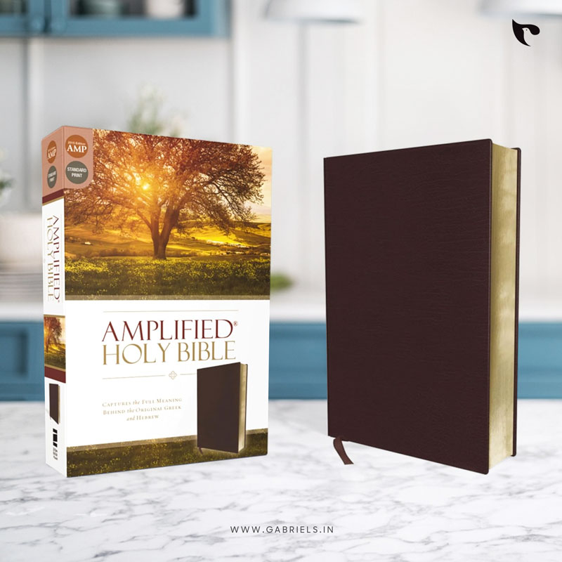 BBL16_as_Amplified-Holy-Bible_a.jpg Amplified Holy Bible, Bonded Leather, Burgundy: Captures the Full Meaning Behind the Original Greek and Hebrew Bonded Leather - Image 1