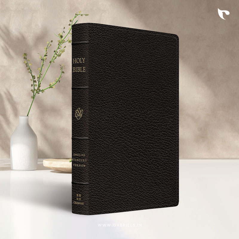 BBL29as_ESV-Preaching-Bible-Verse-by-Verse-Edition-English-Standard-Version-Black-Goatskin-Preaching-Bible-Verse-by-verse-Edition-1.jpg ESV Preaching Bible, Verse-by-Verse Edition: English Standard Version, Black, Goatskin, Preaching Bible, Verse-by-verse Edition Leather Bound - Image 1