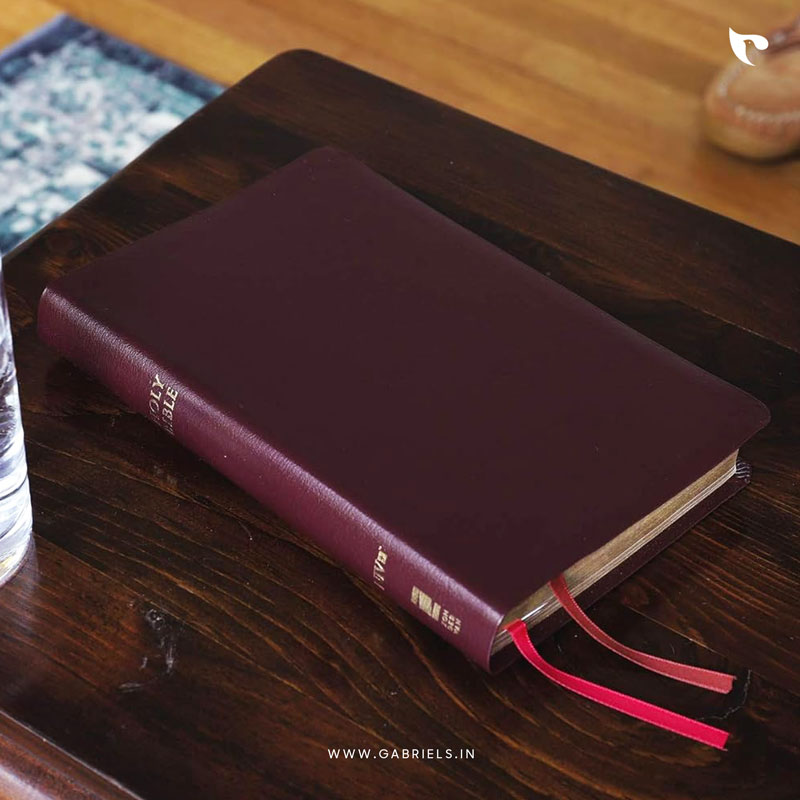 BBL41as_Holy-Bible-New-International-Version-Burgundy_a.jpg Holy Bible: New International Version, Burgundy, Bonded Leather, Thinline Reference Bible: Red Letter Edition - Image 1